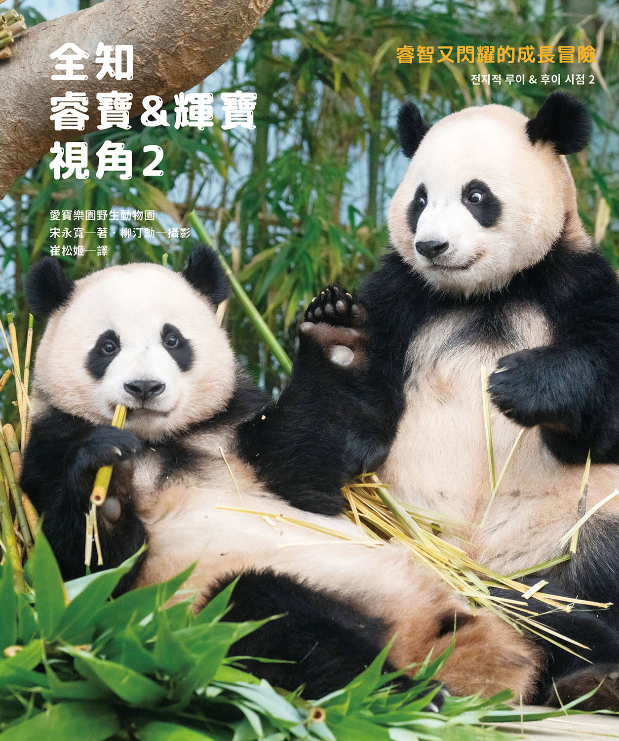 全知睿寶&輝寶視角. 2, 睿智又閃耀的成長冒險